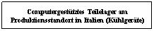 Textfeld: Computergesttztes Teilelager am Produktionsstandort in Italien (Khlgerte)
